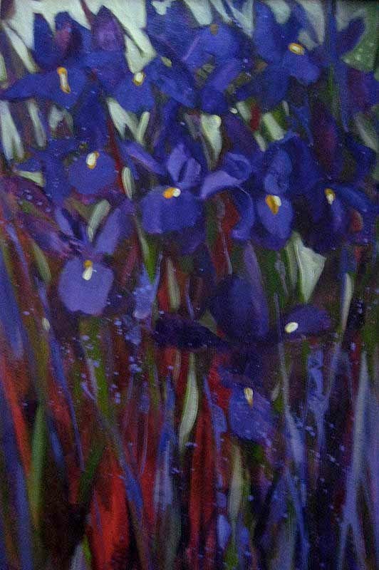 Irises  acrylic<>77x57 oil $795
